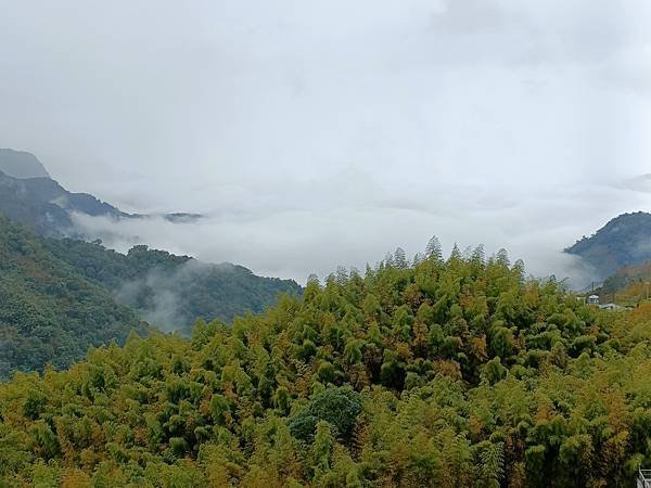 IMG20230102082623.jpg