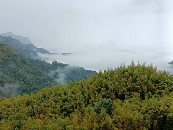 IMG20230102082624.jpg