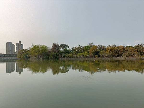 IMG20230403081912.jpg