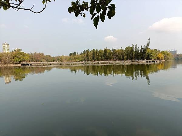 IMG20230403085015.jpg