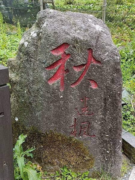 IMG20230404145544.jpg