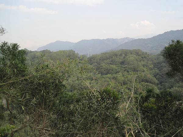 IMG_7016.JPG