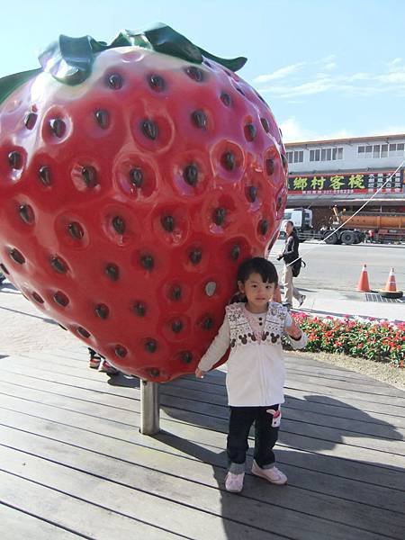 DSCF9809.JPG