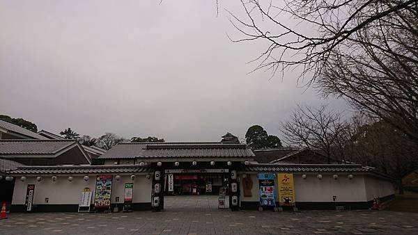 DSC_0264.JPG