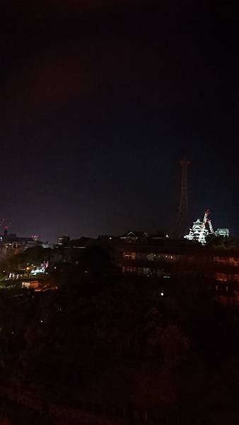 DSC_0421.JPG