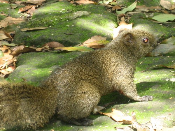 IMG_6313.JPG