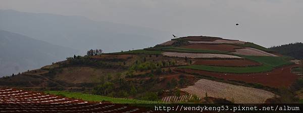 20160329_東穿紅土地_4771.JPG