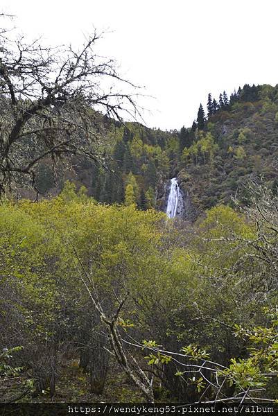 _DSC8306.JPG