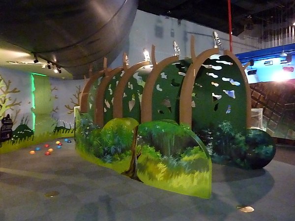 P1080346.JPG