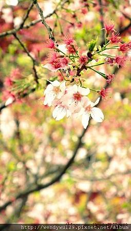 DSCF1874-3.JPG