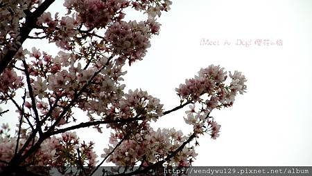 DSCF1899-2.JPG