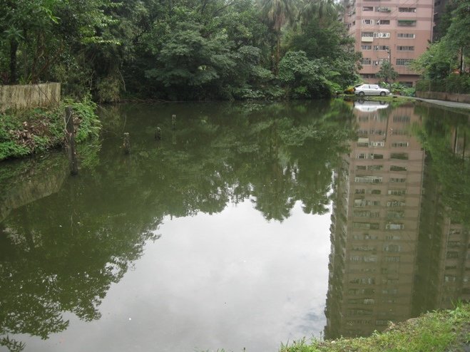 pond-3.jpg