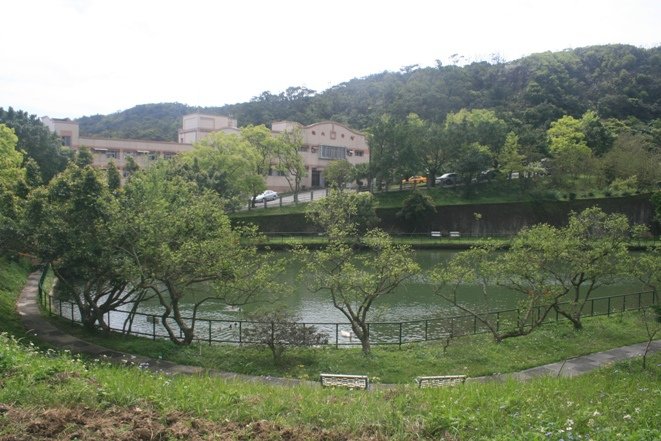 pond-5.jpg