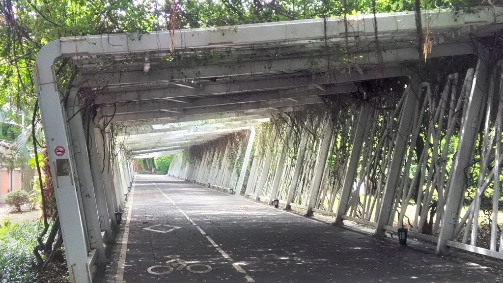 花博公園美術館區-花之隧道1.jpg