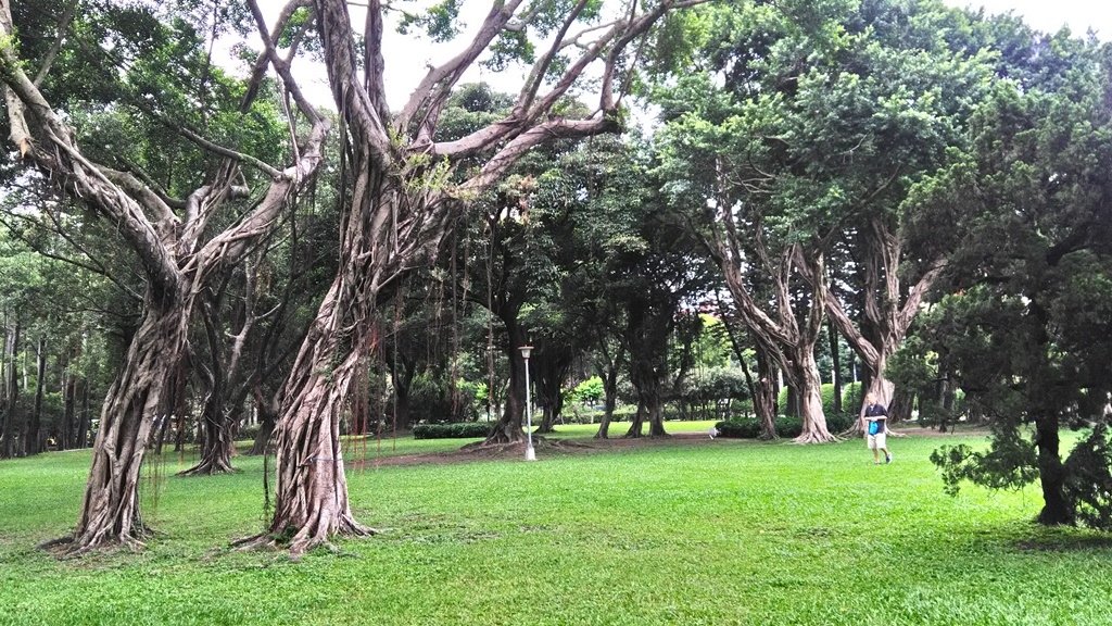 園林景色.jpg