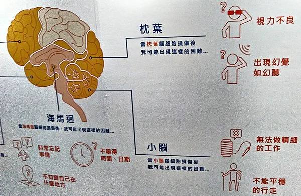 黑松世界30-公益活動4.jpg