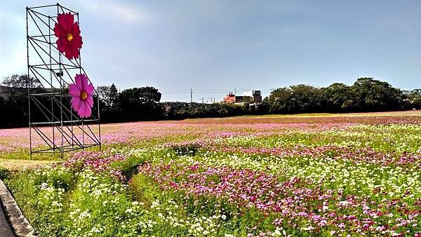 2019花彩節中壢展區-12.jpg