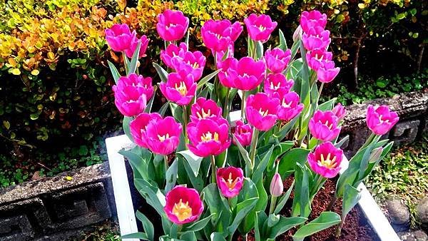P_20200214_110305_HDR.jpg