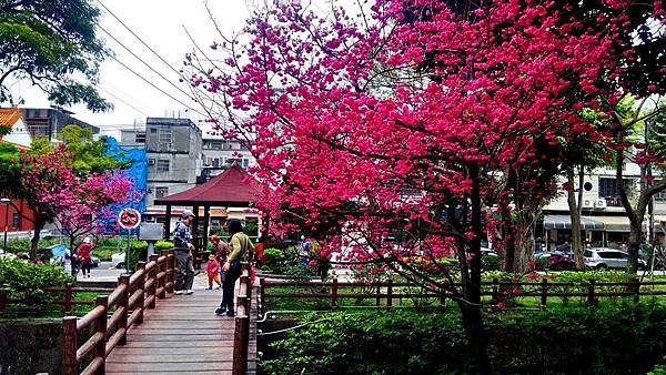 中壢莒光公園-27.jpg