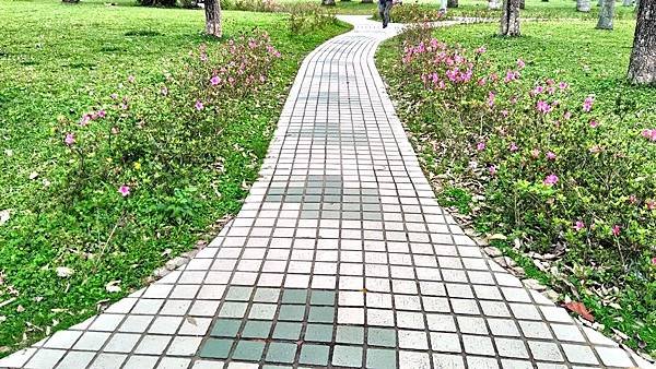 P_20200318_110908_HDR.jpg