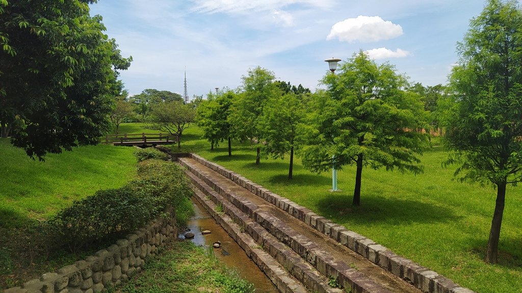 兒六公園-林木植栽.jpg