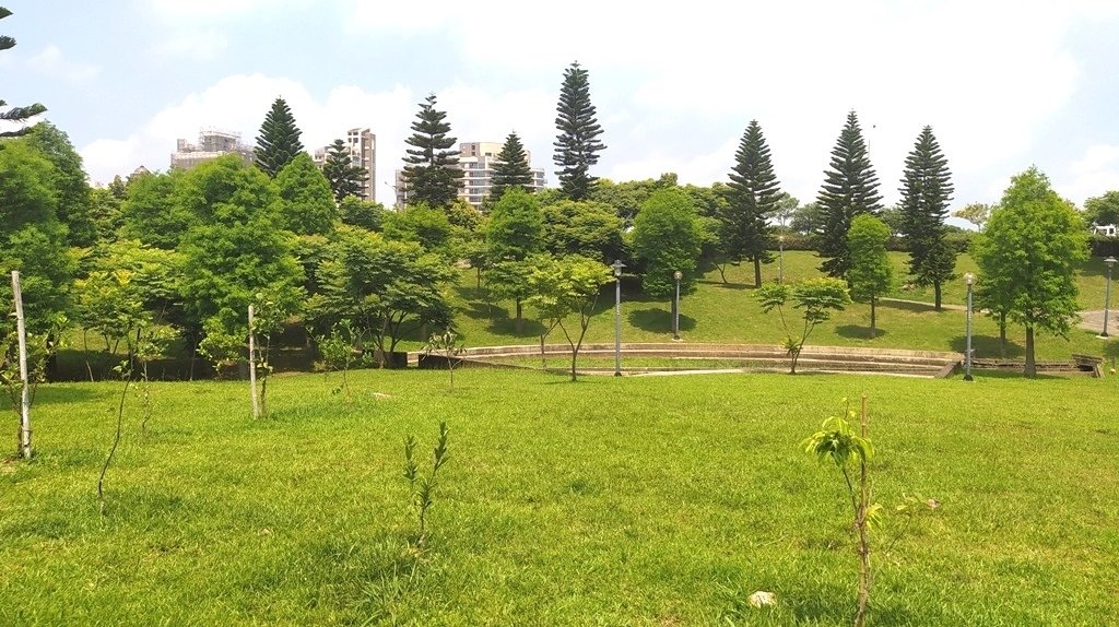 青埔公四公園-山丘步道.jpg