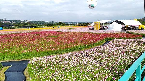 花彩節大溪區-花田19.jpg