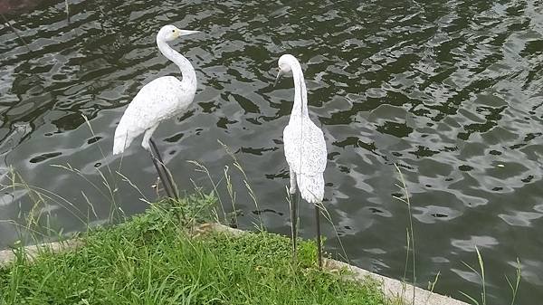 桃園白鷺鷥公園-4造景鷺鷥塑像.jpg
