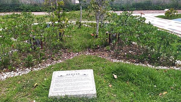 竹東藝術花廊9-歷史沿革.jpg