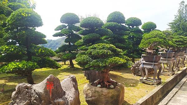 海明寺-花園植栽.jpg