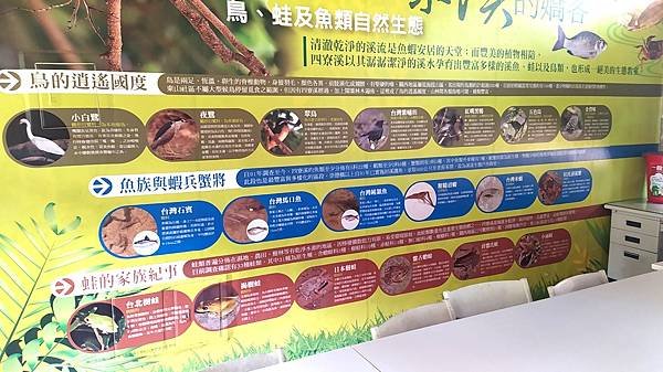 金廣成文化館-生物生態挂圖.jpg