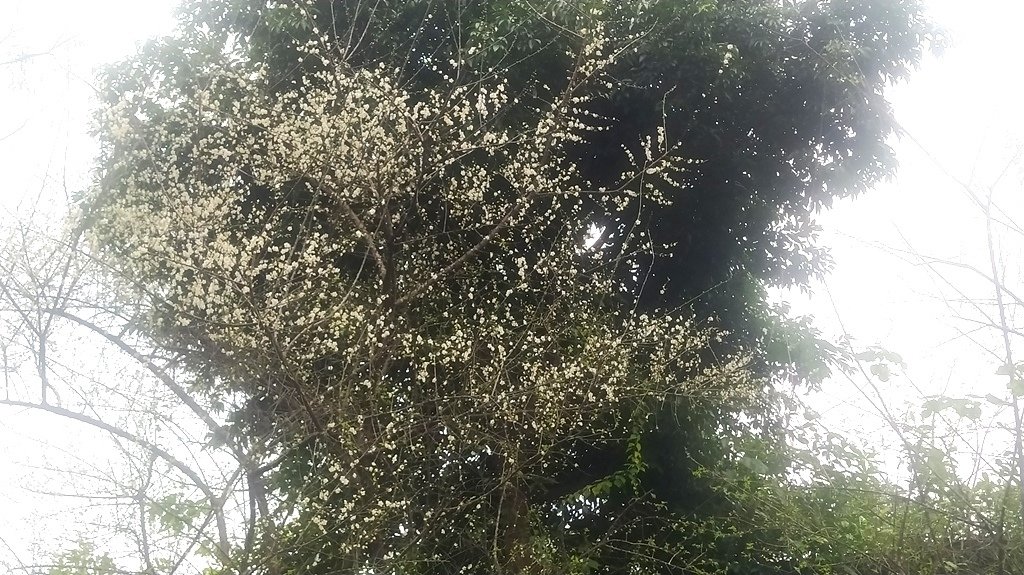 古亭河濱公園-34.jpg
