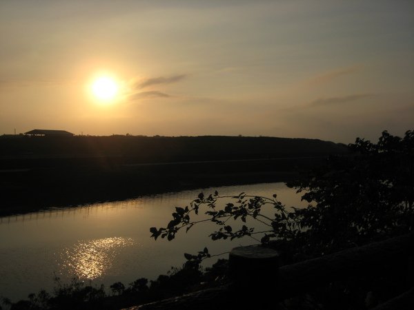 IMG_1769.jpg