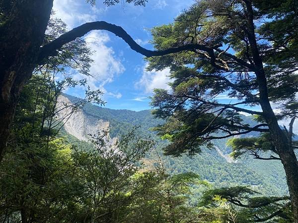 LINE_ALBUM_20220619-20_肉腳團爬百岳塔關山_關山嶺山_220624_191.jpg