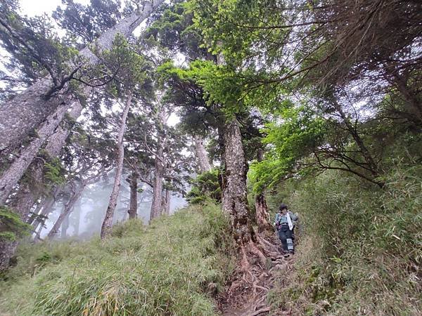 LINE_ALBUM_20220619-20_肉腳團爬百岳塔關山_關山嶺山_220624_13.jpg