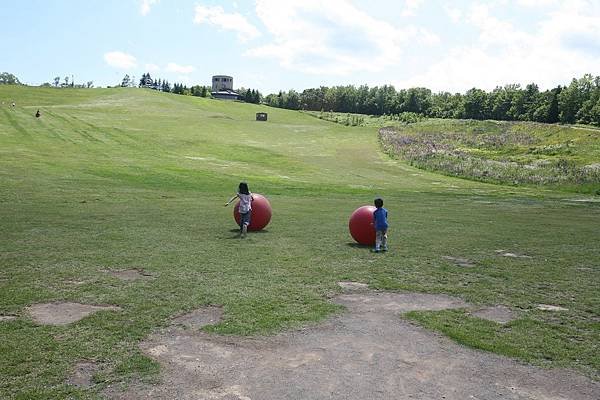 北海道露營_16-06-29_0335.JPG