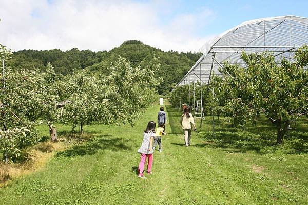 北海道露營_16-07-03_1528.JPG