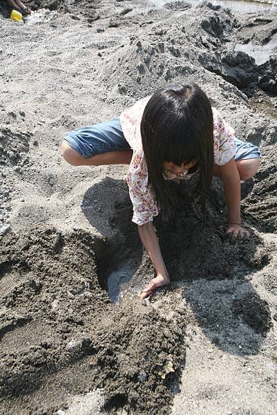 北海道露營_16-07-09_4319.JPG