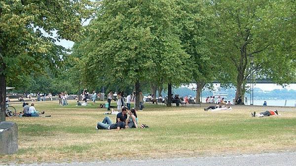 a park by the rhein.jpg