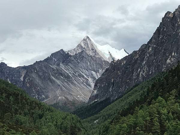 2019年四川之旅（稻城亞丁）第7天洛戎牛場、央邁勇神山、牛