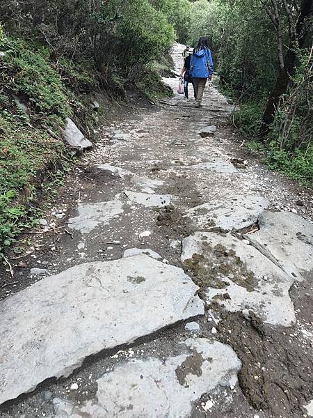 2019年四川之旅（稻城亞丁）第7天洛戎牛場、央邁勇神山、牛