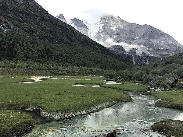 2019年四川之旅（稻城亞丁）第7天洛戎牛場、央邁勇神山、牛