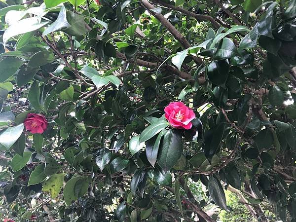 IMG_1641.JPG