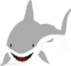 shark