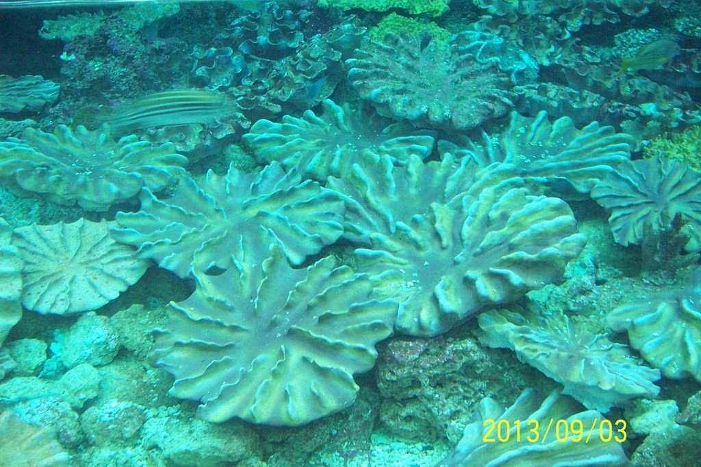 2013.9.2-4 451