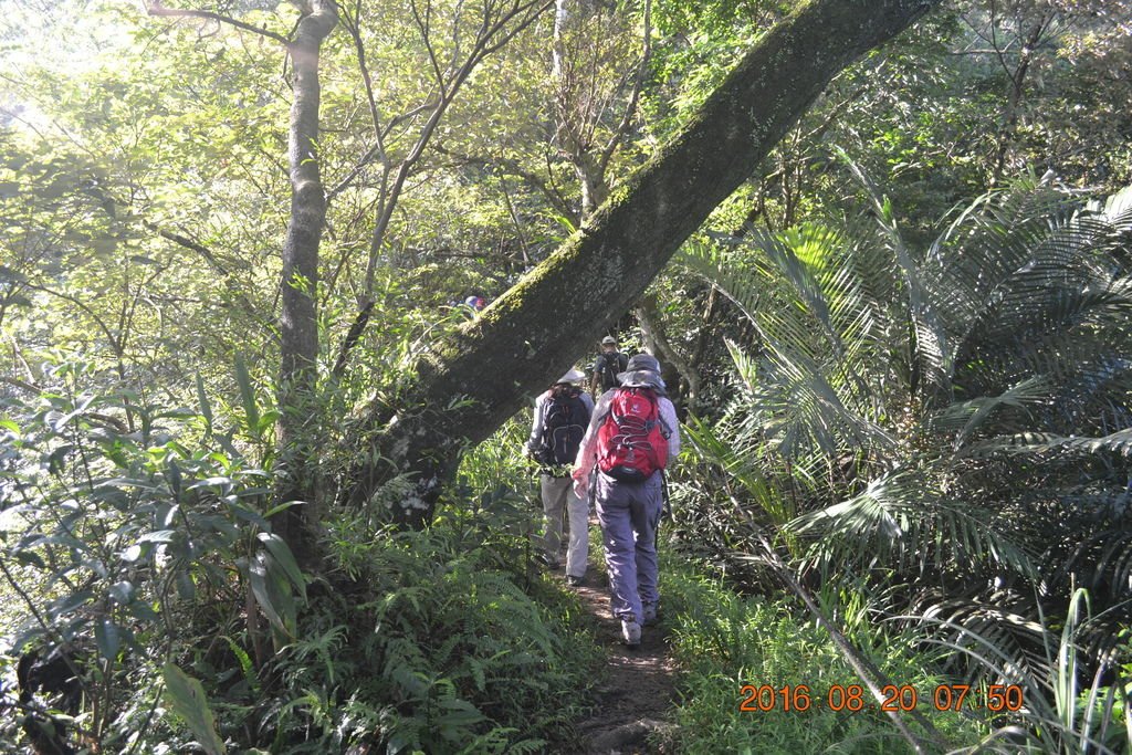 桃園頭寮山、溪洲山、新溪州山、石門水庫登山