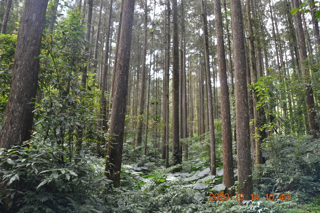 DSC_0210.JPG