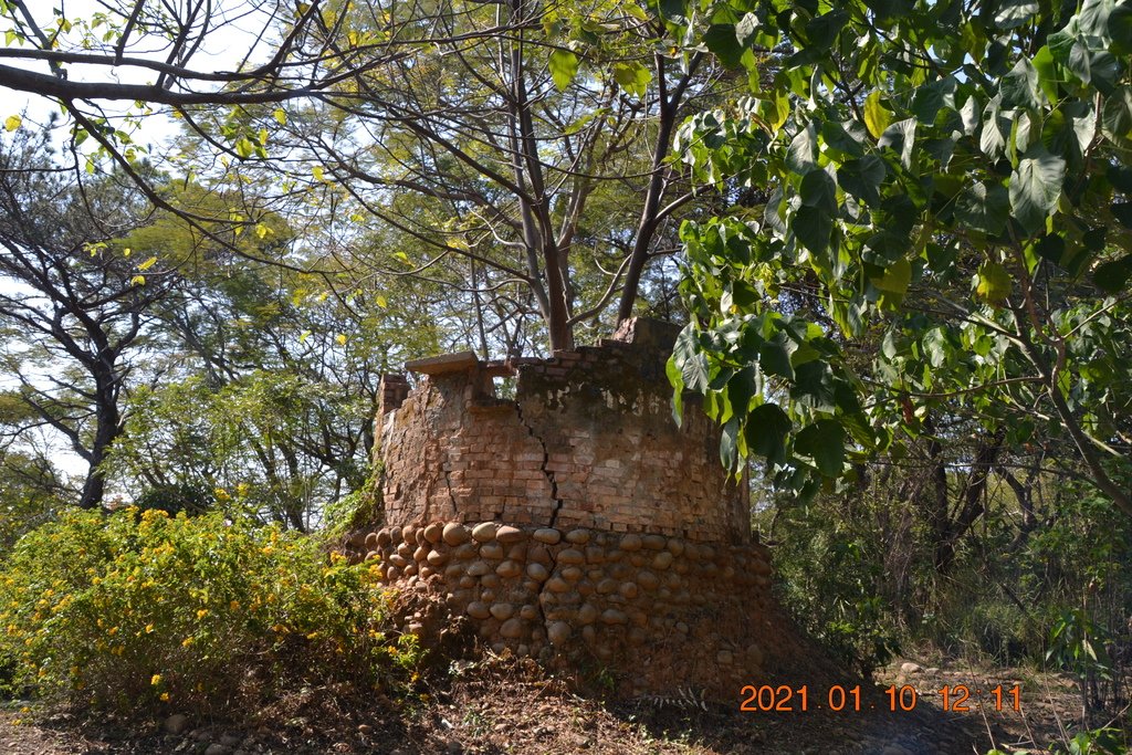 DSC_0194.JPG