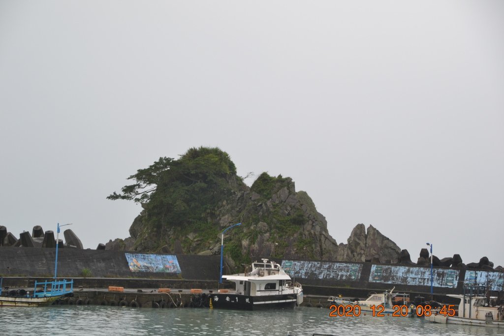 DSC_0475.JPG