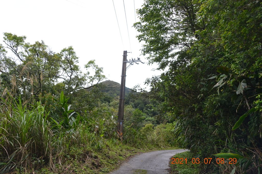 DSC_0518.JPG